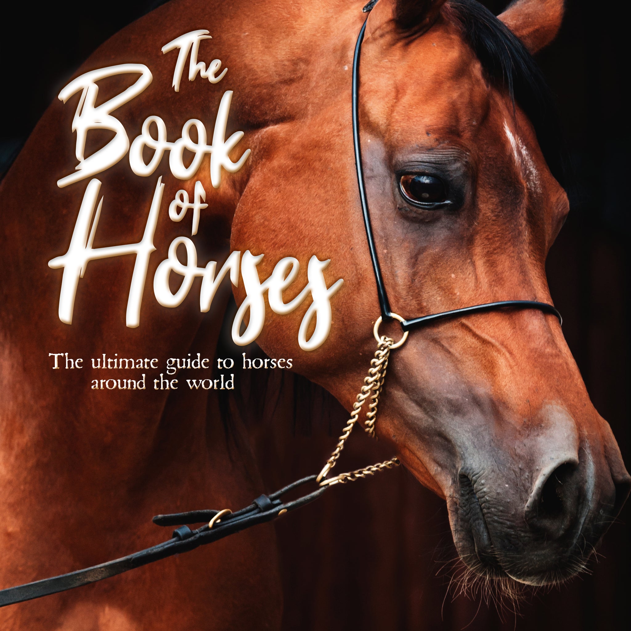 Cover image for The Book of Horses ISBN 9781839350719